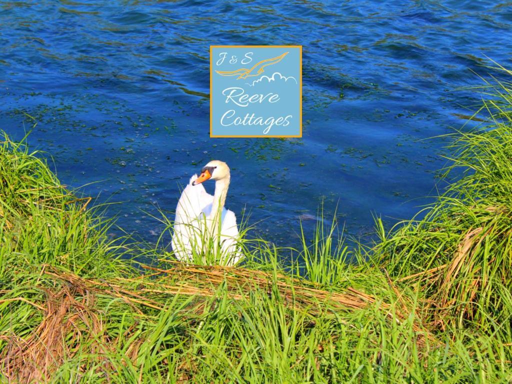 Premier Waterfront Cottage 2 リバーヘッド エクステリア 写真